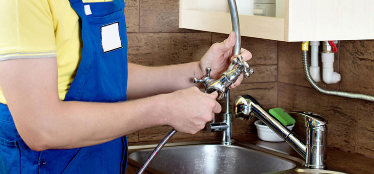 Kitchen Faucet With Sprayer Replacement in Columbia